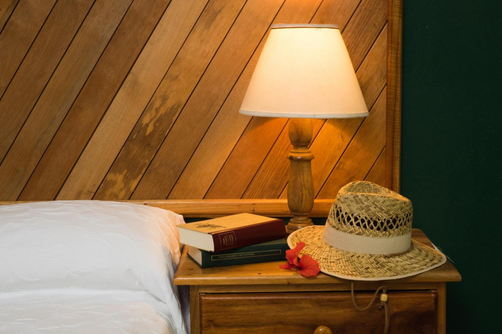 King or Double Room Ocean View